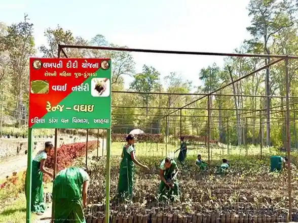 India News | Krushi Vikas Divas: Mangiben from Dang Becames Lakhpati Didi Through Natural Farming