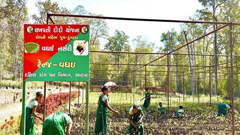 India News | Krushi Vikas Divas: Mangiben from Dang Becames Lakhpati Didi Through Natural Farming