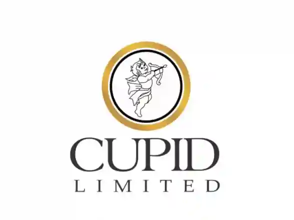 Business News | Cupid Limited Honoured at Maharashtra State Export Award Ceremony 2025