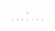 Business News | Celeste by MindEscapes in the Top 10% of the World's Best-reviewed Restaurants by Travellers