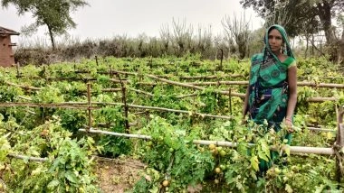 Business News | India Needs to Rebuild Rural Systems for Long-Term Food Security: Action for Social Advancement (ASA)