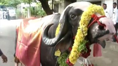 India News | Hyderabad to Celebrate Sadar Festival Officially on October 19