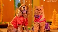 Business News | HUFT Launches 'Dil Se Desi' -- A Festive Collection That Celebrates Pets as Family
