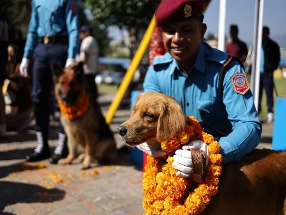 World News | Kukur Tihar: Nepal Honours Dogs with Garlands, Feasts, and VIP Treatment in Unique Festival