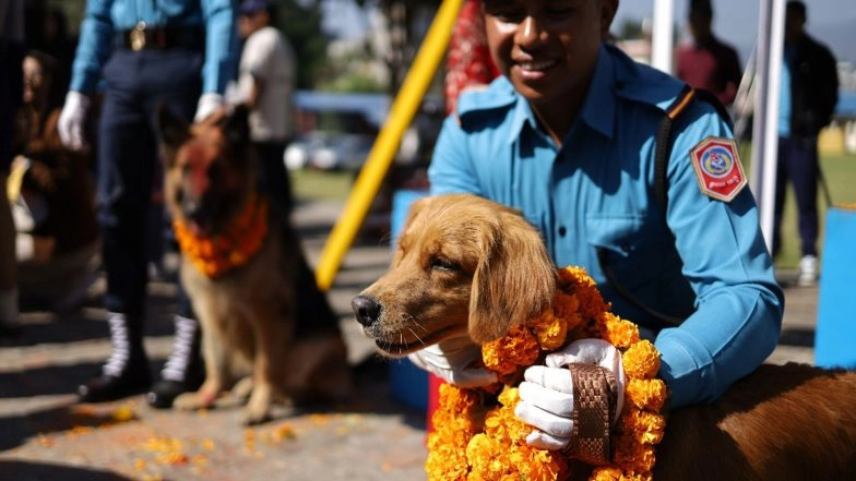 World News | Kukur Tihar: Nepal Honours Dogs with Garlands, Feasts, and VIP Treatment in Unique Festival