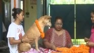 India News | Siliguri Animal Welfare Group Celebrates 'Kukur Tihar', Worships and Feeds Stray Dogs