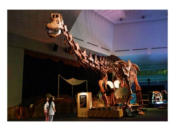 Business News | Singapore's Ultimate Prehistoric Adventure Begins at Science Centre Singapore