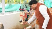 India News | MP CM Yadav Performs Gau-seva, Feeds Chapatis to Cows on Occasion of Govardhan Puja at CM House