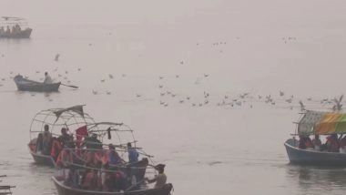 India News | Siberian Birds Arrive at Prayagraj Sangam, Delighting Locals and Tourists