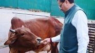 India News | Uttarakhand CM Dhami Offers Prayers on Govardhan Puja, Highlights Cow Protection, Conservation Efforts