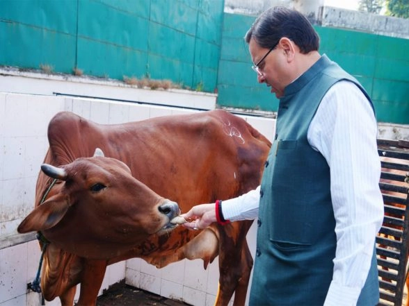 LatestLY - Business - News Image