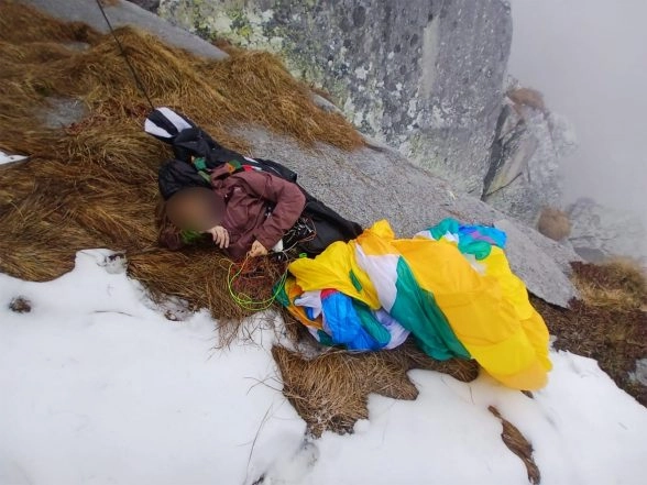 LatestLY - Other - News Image