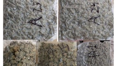 India News | Mumbai Customs Seizes Hydroponic Weed Worth over ₹19 Crore in Two Separate Busts