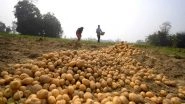 Business News | India's Processed Potato Exports Surge as Asia's Snack Demand Booms: GTRI