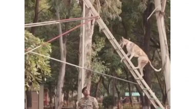 India News | Over 150 Indian Breed Dogs Deployed at Borders, Anti-Naxal Ops: BSF