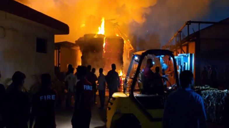 India News | Gujarat: Fire Erupts at a Paper Mill in Valsad, No Casualties Reported