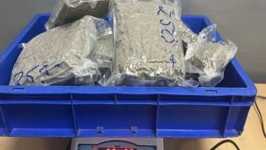 India News | Delhi Customs Seizes over 2.5 Kg of Hydroponic Weed at IGI Airport
