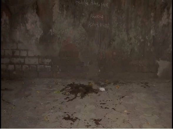 LatestLY - Politics - News Image