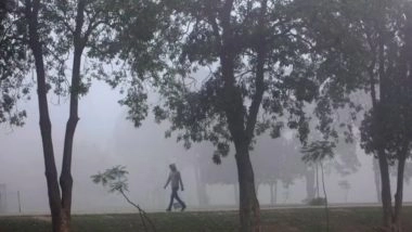 World News | Lahore Chokes as Smog Makes It the World's Most Polluted City