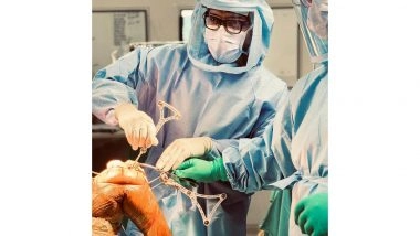 Business News | The Precision Revolution; Robotic Joint Replacement an Article by Dr Dibya Singha