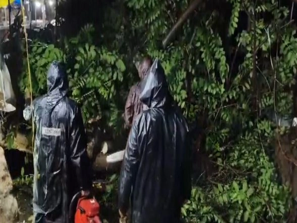 Dólar indio | Mahrara Pradesh: el distrito despeja el tráfico en NH-16 después de muchos árboles Dólar indio | Mahrara Pradesh: el distrito despeja el tráfico en NH-16 después de muchos árboles