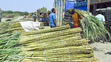 Business News | UP Hikes Rs 30 Per Quintal Sugarcane Prices for 2025-26 Season
