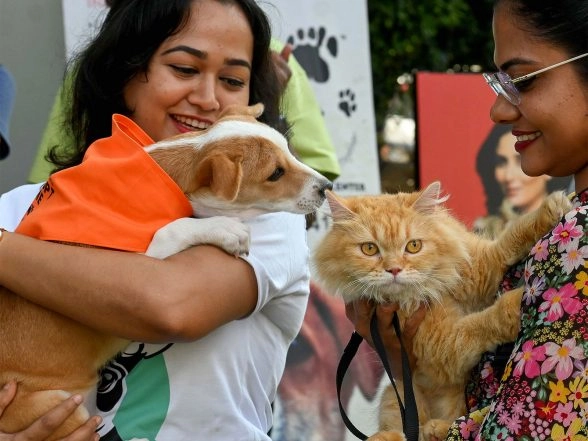 India News | Chandigarh Administration Notifies New Pet and Community Dog Bylaws