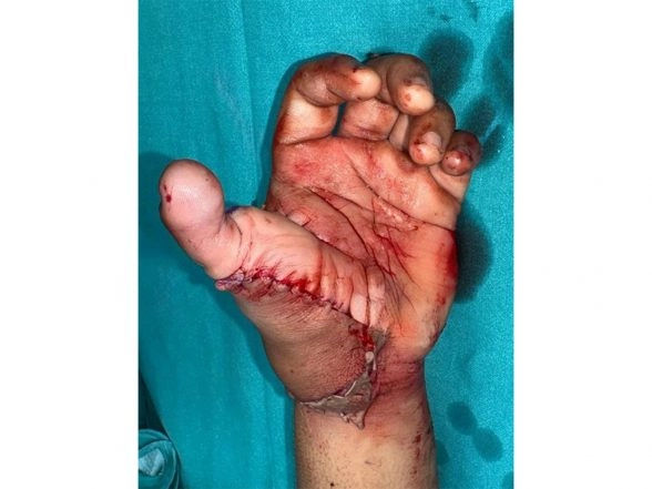 LatestLY - Entertainment - News Image