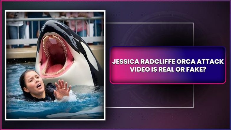 jessica radcliffe orca attack Image 1