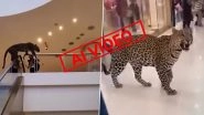 'Leopard in Gurgaon Mall' Video Real or Fake? Viral Reel Claiming Leopard Attack in Gurugram Is AI-Generated, Reveals Fact Check