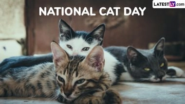 National Cat Day 2025: Date, History, Significance of the US Event Dedicated to Cat Rescue and Adoption