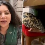 Shradha Sharma, Founder of ‘Ratan Tata-Invested YourStory’, Asked To Sit Properly by Taj Hotel Staff in Delhi for Sitting in ‘Padmasana’ Style; Internet Divided Over Viral Video