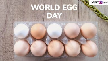 World Egg Day 2025: Date, Theme, Significance, and Why It Is Celebrated