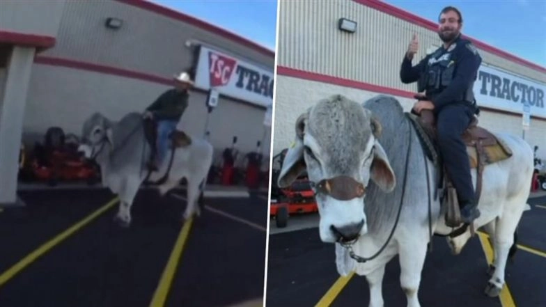 ‘Is He Really Riding a Bull?’: Ohio Officer Shocked to Find Man Riding Bull in Walmart Parking Lot, Turns Encounter Into Viral Photo Moment (Video)