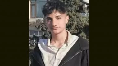 Prank Gone Wrong in Turkey: 15-Year-Old Boy Dies After Coworkers Tie Hands, Insert High-Pressure Air Hose in Rectum As ‘Joke’ at Carpentry Workshop in Bozova