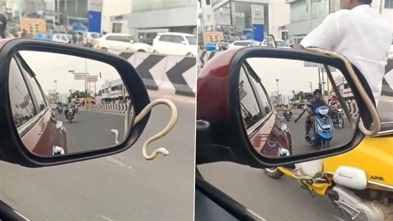Tamil Nadu: Small Snake Slithers Out of Moving Car’s Side Mirror on Namakkal–Salem Road, Shocking Video Goes Viral