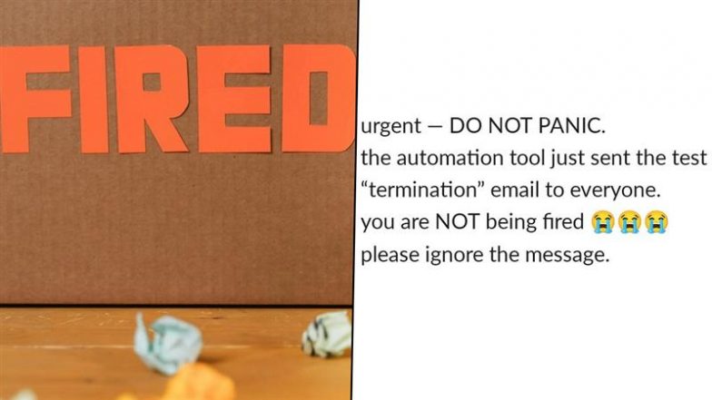 ‘No One Is Fired’: HR Accidentally Sends Termination Email to All 300 Employees Including CEO While Testing Automatic Off-Boarding Tool; Apologises Later for Layoffs Notice