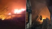 Haryana Fire: Massive Blaze Erupts in Basai Village of Sector 29 in Gurugram, No Casualties (Watch Video)