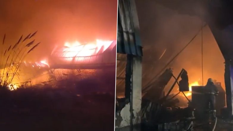 Haryana Fire: Massive Blaze Erupts in Basai Village of Sector 29 in Gurugram, No Casualties (Watch Video)