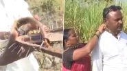 Leopard Terror in Maharashtra: Amid Surge in Big Cat Attacks in Pune, Villagers Wear Spiked Collars for Protection (Watch Video)