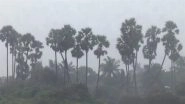 Cyclone Ditwah Update: IMD Issues Yellow Alert Across Various Districts of Tamil Nadu and Puducherry for Next 3 Hours