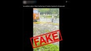 Did It Rain Snakes in Kedarnath? Fact Check Debunks Old Video Going Viral With Fake Claim