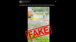 Did It Rain Snakes in Kedarnath? Fact Check Debunks Old Video Going Viral With Fake Claim