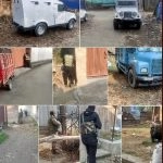 Jammu and Kashmir: Budgam Police Launch Crackdown on Cross-Border Terror Network