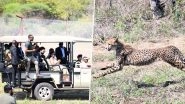 Project Cheetah: Botswana Gifts India 8 Cheetahs During Visit of President Droupadi Murmu, Lauds India’s Landmark Wildlife Conservation Initiative Project Cheetah: Botswana Gifts India 8 Cheetahs During Visit of President Droupadi Murmu, Lauds India’s Landmark Wildlife Conservation Initiative