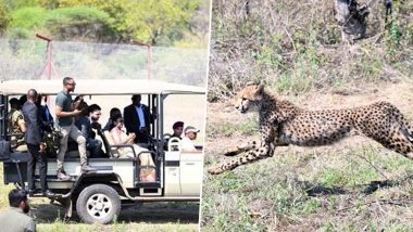 Project Cheetah: Botswana Gifts India 8 Cheetahs During Visit of President Droupadi Murmu, Lauds India’s Landmark Wildlife Conservation Initiative