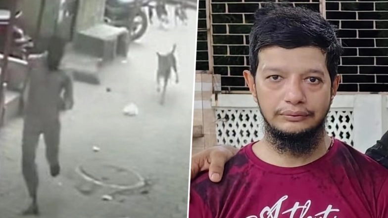 Surat Horror: Man Dies After Being Chased by Pack of Stray Dogs in Gujarat; CCTV Video Captures Terrifying Attack in Saiyedpura Area
