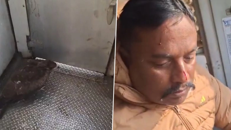 Major Train Accident Averted in J-K: Eagle Smashes Through Baramulla-Banihal Train Windscreen Injuring Loco Pilot; Video Surfaces