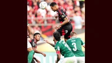 Flamengo Beat Palmeiras To Win Fourth Copa Libertadores Title 