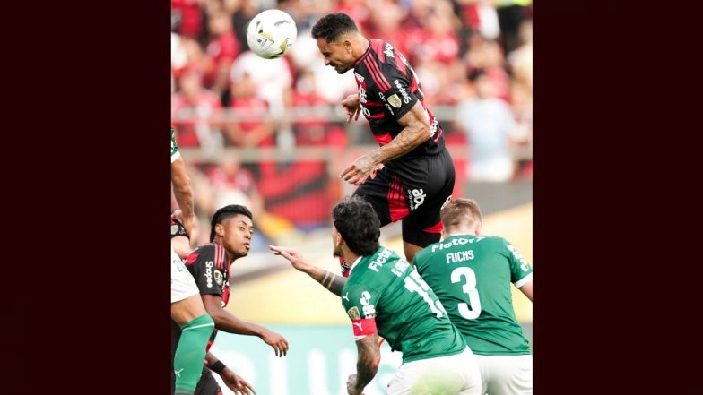 Copa Libertadores 2025: Danilo Scores As Flamengo Beat Palmeiras To Win Fourth Title